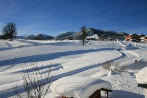 斯拉德明Haus Bergliebe的雪覆盖的田野,背景是房屋