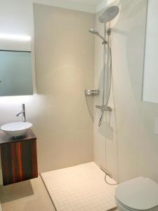 苏黎世Guesthouse Lochergut的带淋浴、卫生间和盥洗盆的浴室