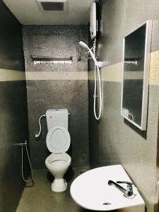 怡保Highway Times Inn Hotel的一间带卫生间和水槽的浴室
