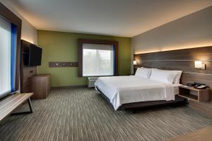 沃基根Holiday Inn Express Hotel & Suites Waukegan/Gurnee, an IHG Hotel的配有一张床和一台平面电视的酒店客房