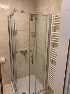 莫斯特拉纳Guesthouse Veranda的浴室里设有玻璃门淋浴