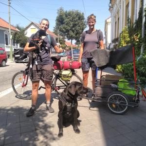 内戈廷Base Camp - Urban Guerrilla的两个人和一只狗,骑着自行车和一辆大车