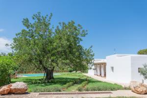 圣埃乌拉利亚Casa rural es Murtà的白色的房子,有树和院子
