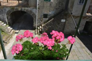 卡罗达诺英弗雷Agriturismo Ghirlanda Norma Rita的隧道前一盆粉红色的花