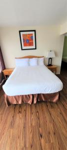 布鲁金斯蓝色海岸套房酒店的铺有木地板的客房内一张大床