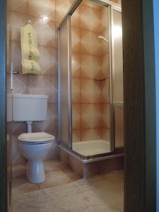 圣洛伦佐-迪塞巴托Haus Tasser的一间带卫生间和玻璃淋浴间的浴室