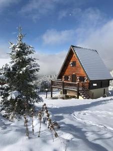 CamuracCamurac-Chalet les Dalmatiens的雪地中的小木屋,有圣诞树