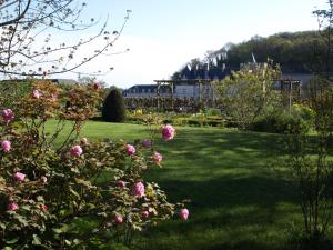 维朗德里Le Petit Villandry的草地上种有粉红色玫瑰的花园