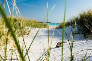 罗西尼亚诺－索尔瓦伊Piccolo Hotel的一片沙质海滩,有草地和海洋