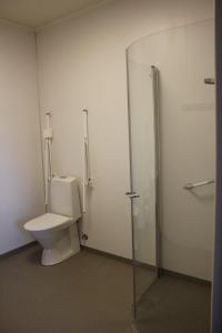 Bø i VesterålenJoker Bø的一间带卫生间和玻璃淋浴间的浴室