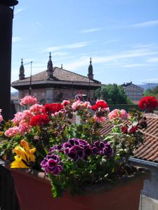 格尔尼卡阿克拉瑞旅馆的屋顶上种满五颜六色花的种植园