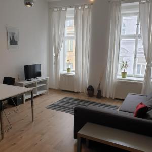 布拉格布拉格坎帕格雷格公寓的带沙发和2扇窗户的客厅