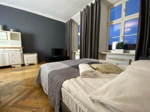 克拉科夫P＆J葛洛兹卡公寓的一间卧室设有两张床和大窗户