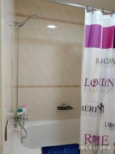 艾姆布里亚布拉瓦PEP'S Family House的浴室内配有淋浴帘。