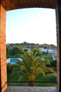 Encinasola林孔阿贝德酒店的透过窗户看到棕榈树