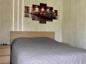 马里扬泊列Marijampole Camping的卧室配有一张挂在墙上的汽车床。