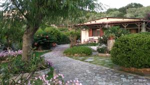PuntaSkiathos Riviera Studios的一座带房子和石头小径的花园