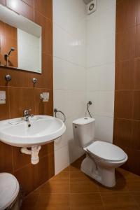 普利斯卡哈努维特酒店的一间带卫生间和水槽的浴室