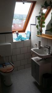 Gemünden an der WohraFerienwohnung-Panoramablick的一间带水槽和卫生间的浴室以及窗户。