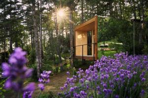 维帕瓦Theodosius Forest Village - Glamping in Vipava valley的树林里一座玻璃房子,花紫色