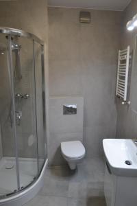 莱什诺Leszno City Center Apartments的带淋浴、卫生间和盥洗盆的浴室