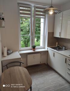 科沙林Apartament ADA的厨房配有桌子、水槽和2扇窗户。