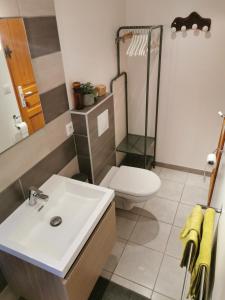 勒吕克Studio de charme en Provence的一间带水槽、淋浴和卫生间的浴室
