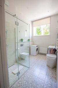 尤尔马拉Apartment near Baltic Sea的一间带玻璃淋浴和卫生间的浴室
