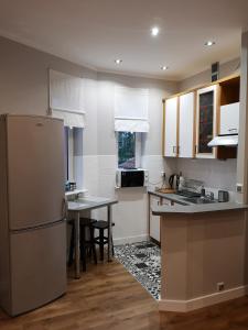 绿山城Green Yew Apartment的厨房配有冰箱和桌子