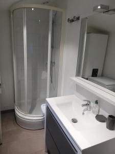 南特P'tite maison atypique avec terrasse的带淋浴和白色盥洗盆的浴室