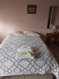 Caño NegroPosada Rural Oasis的一张带毯子的床和两张毛巾