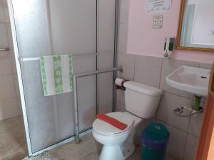 Caño NegroPosada Rural Oasis的一间带卫生间和水槽的小浴室