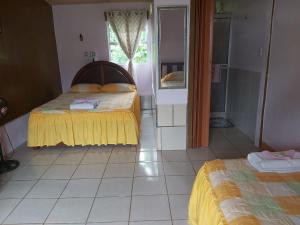 Caño NegroPosada Rural Oasis的一间卧室配有两张床和镜子