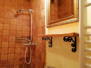 Šmarje pri JelšahHoliday house apartment Voukov mlin的带淋浴的浴室