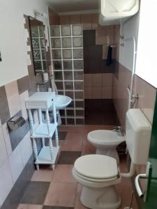 塞科夫列Apartma Fiorina的一间带卫生间和水槽的浴室