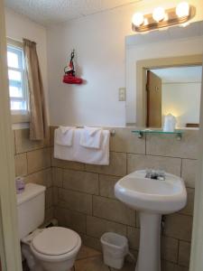 特伦顿阿卡迪亚盖特威汽车旅馆的一间带水槽、卫生间和镜子的浴室