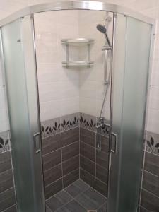 桑丹斯基Къща за гости Калинови的浴室里设有玻璃门淋浴