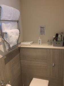 埃克塞特Harepath Farm Cottages 2的浴室设有卫生间,并在柜台上提供毛巾。