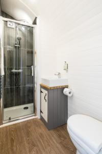 福尔柯克Weedingshall Lodges的带淋浴、卫生间和盥洗盆的浴室