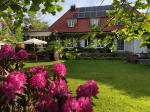 普拉赫München- Pullach, Wohnen im Grünen的院子里有粉红色花的房子