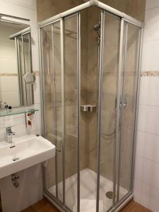 Großheubach罗森布什酒店的水槽旁的玻璃门淋浴