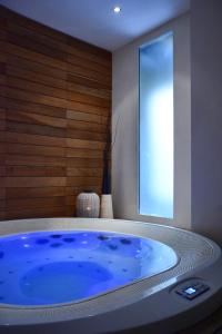 菲乌吉旅游健康及美容酒店的窗户客房内的大蓝色浴缸