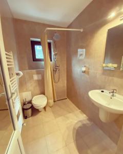 沃伊内亚萨Maison Platanus的一间带卫生间和水槽的浴室