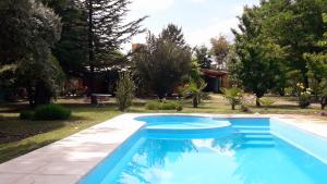 La ConsultaCasa Rural entre Bodegas y Viñedos ' El Jarillal"的一座树木繁茂的庭院内的游泳池