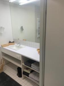 埃伦豪森Apartment am Weinberg的一间带水槽和镜子的浴室