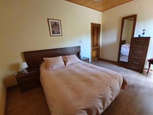 阿拉力兹Casa García的一间卧室配有一张大床和镜子