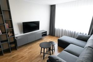 文茨皮尔斯Brand New, Family-friendly with a great location - Moon Apartment的带沙发和电视的客厅
