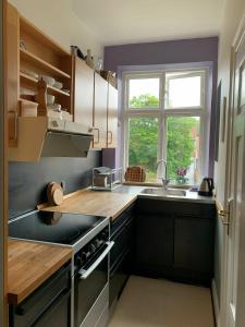 哥本哈根哥本哈根308公寓的厨房设有水槽和窗户。