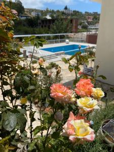帕塔拉玫瑰酒店的游泳池前的一组花