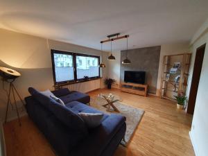 策尔廷根-拉蒂希Haus Monika的客厅配有蓝色的沙发和电视